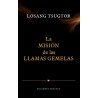 La misión de las llamas gemelas