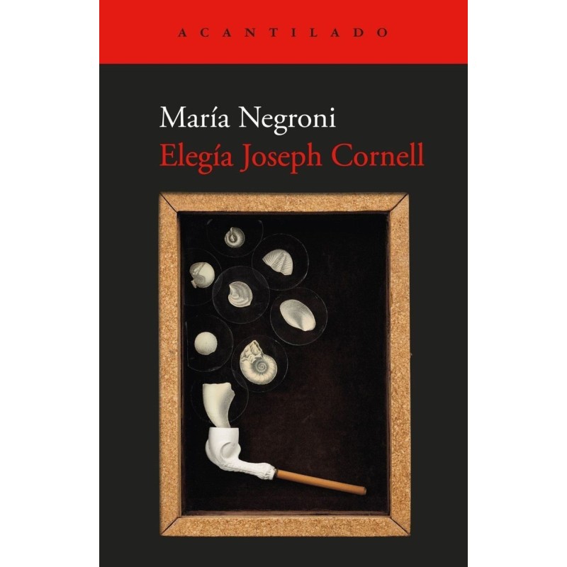 Elegía Joseph Cornell
