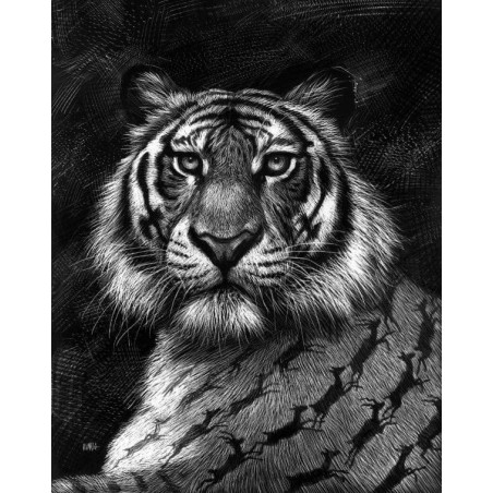 El animal ilustrado