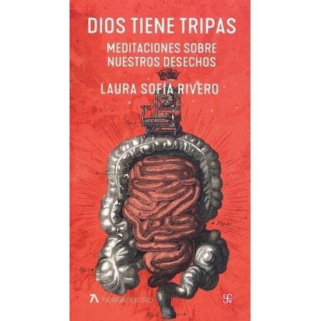 Dios tiene tripas Meditaciones sobre nuestros desechos