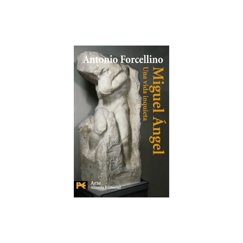 Miguel Ángel. Una vida inquieta