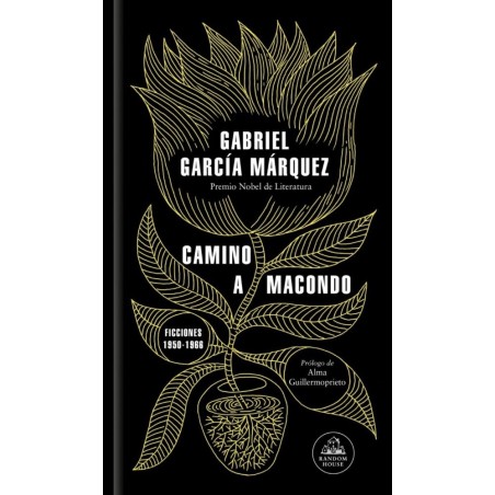 Camino a Macondo