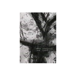 Todo es igualmente importante