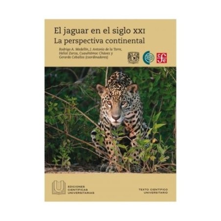 El jaguar en el siglo XXI: la perspectiva continental