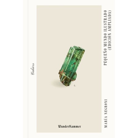 Pequeño mundo ilustrado