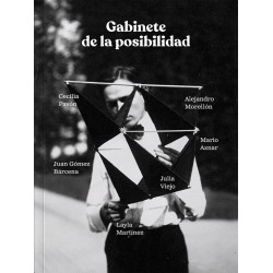 Gabinete de la posibilidad