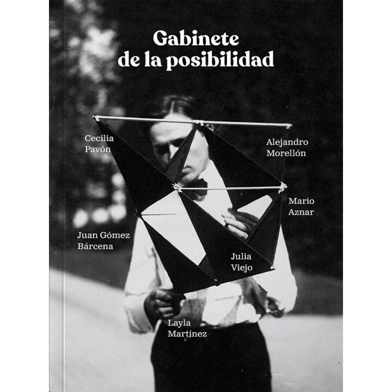 Gabinete de la posibilidad