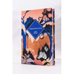 Frankenstein o el moderno Prometeo (edic