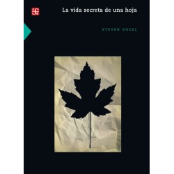 La vida secreta de una hoja