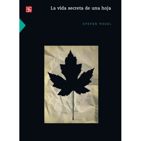 La vida secreta de una hoja