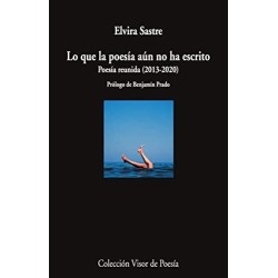 LO QUE LA POESÍA AÚN NO HA ESCRITO