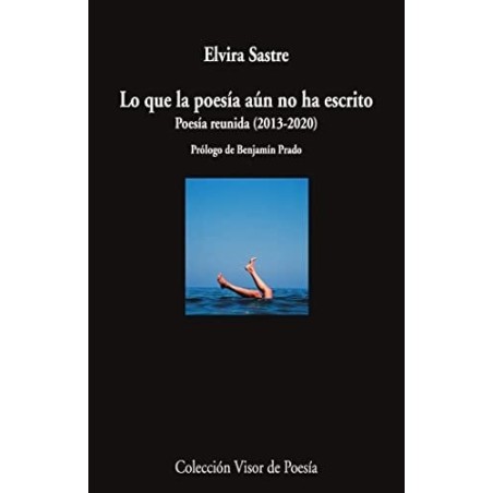 LO QUE LA POESÍA AÚN NO HA ESCRITO