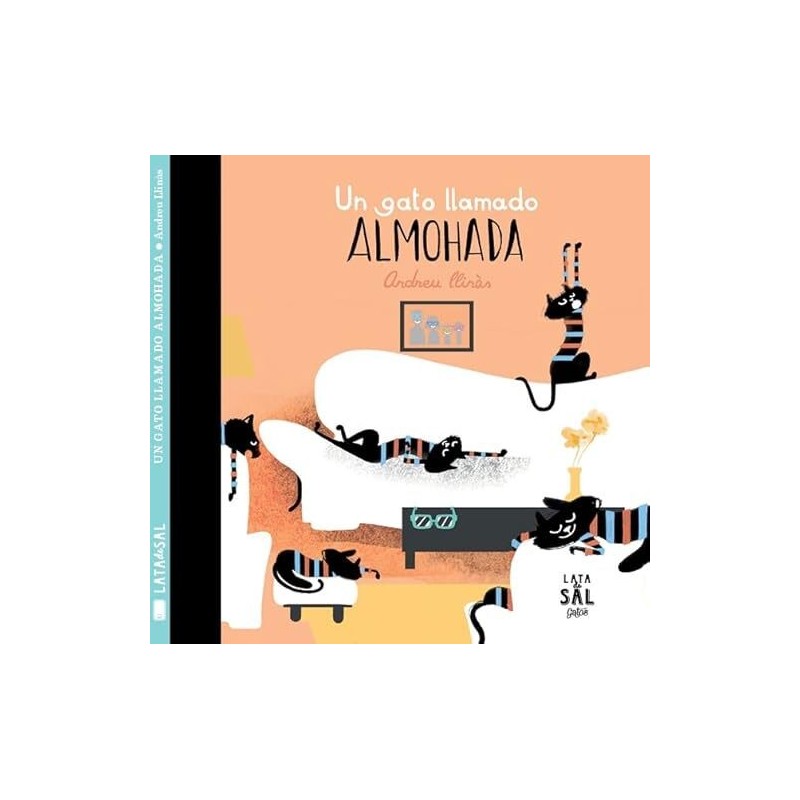 Un gato llamado Almohada
