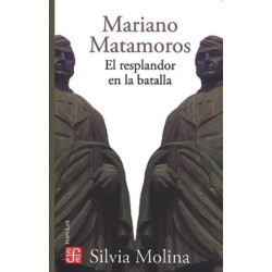 Mariano Matamoros: el resplandor de la batalla
