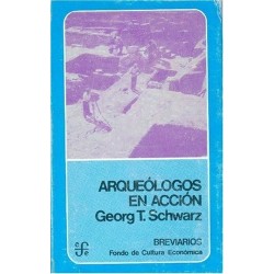 Arqueólogos en acción