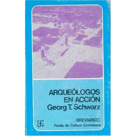 Arqueólogos en acción
