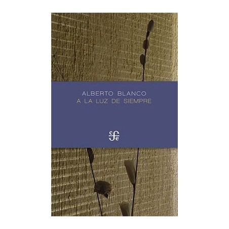 A la luz de siempre