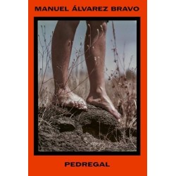 Manuel Álvarez Bravo. Pedregal