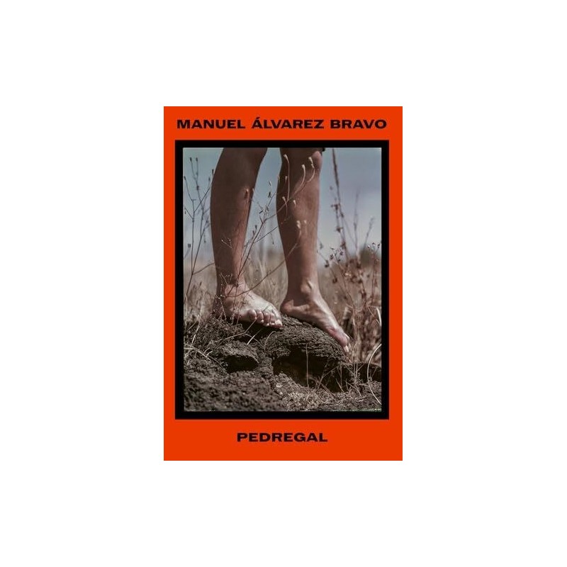 Manuel Álvarez Bravo. Pedregal