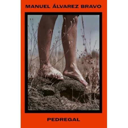 Manuel Álvarez Bravo. Pedregal