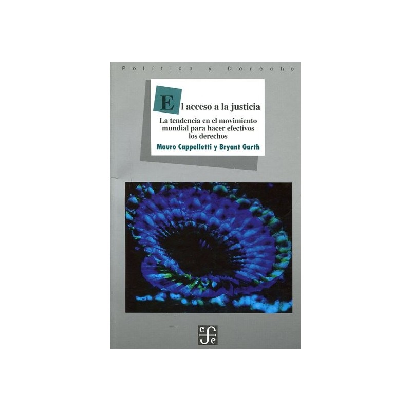 El acceso a la justicia