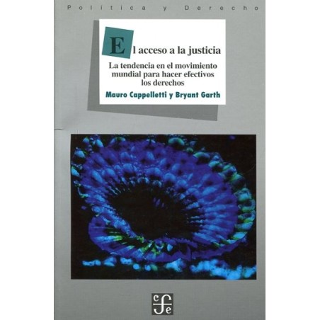 El acceso a la justicia
