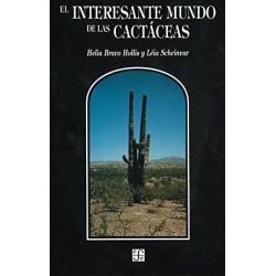 El interesante mundo de las cactáceas