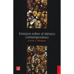 Ensayos sobre el México contemporaneo