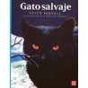 Gato salvaje.