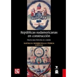 Repúblicas sudamericanas en construcción : hacia una historia en común
