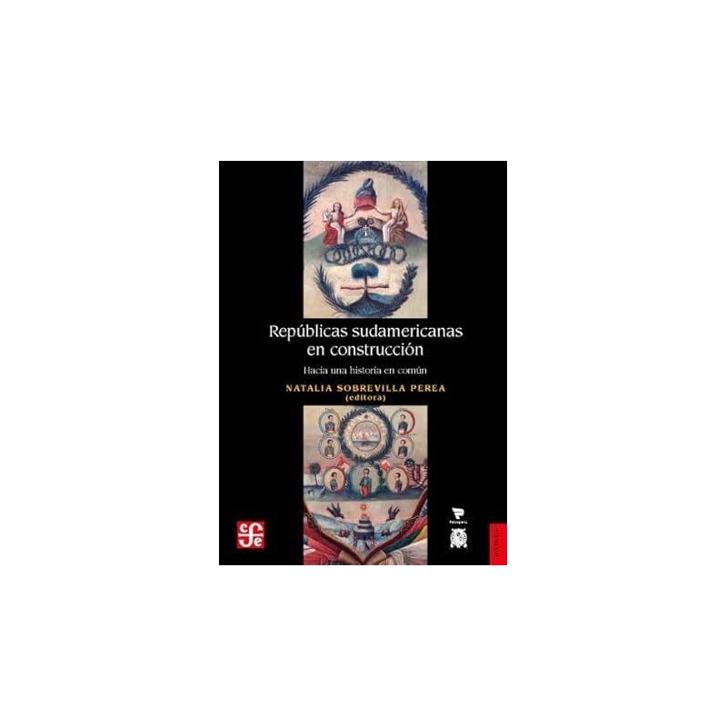 Repúblicas sudamericanas en construcción : hacia una historia en común