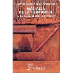 Más allá de la herrumbre II. La lucha contra la corrosión