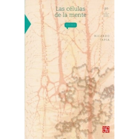 Las células de la mente