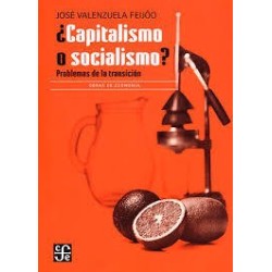 ¿Capitalismo o socialismo?: problemas de la transición