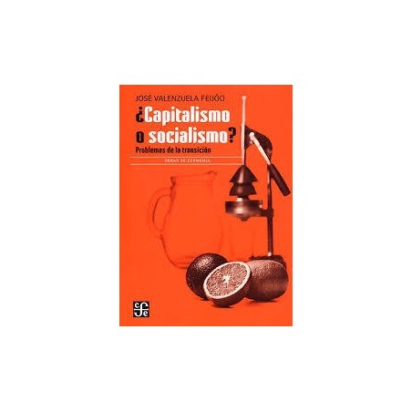 ¿Capitalismo o socialismo?: problemas de la transición