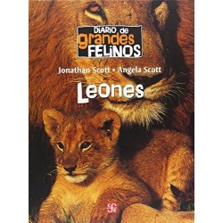Diario de grandes felinos:Leones.