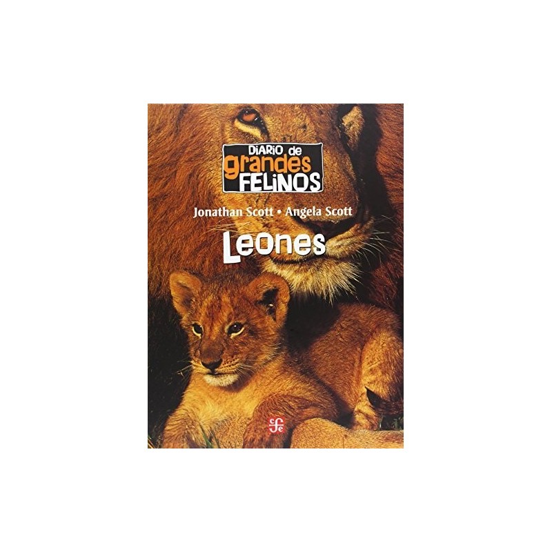 Diario de grandes felinos:Leones.