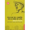 Floclor del carbón en la zona de Lota.