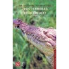 ¿Los terribles cocodrilos?