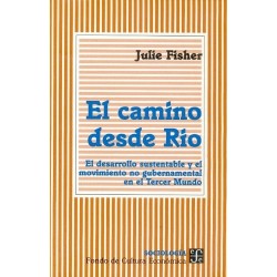 El camino desde Río