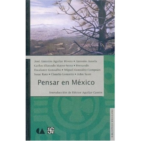 Pensar en México
