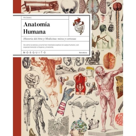 Anatomía humana