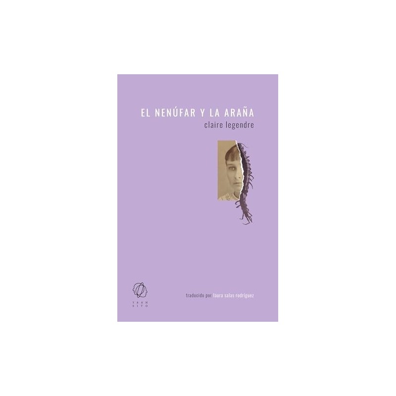 El nenúfar y la araña
