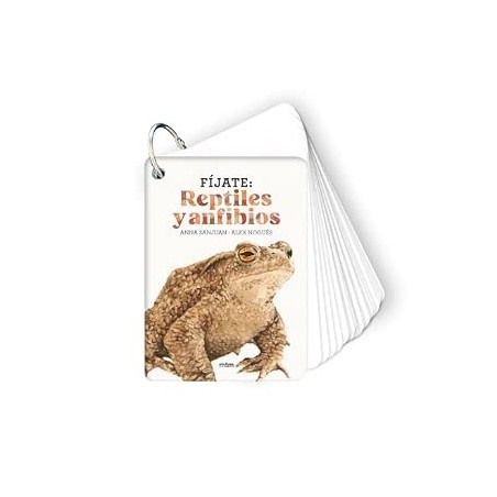 Fíjate: reptiles y anfibios