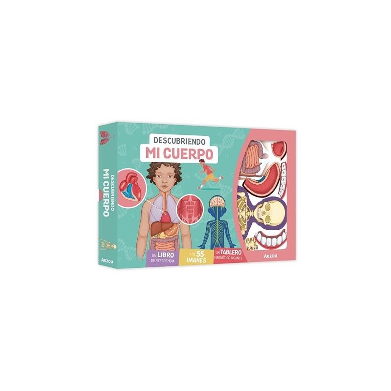 Descubriendo mi cuerpo. Tablero magnétic