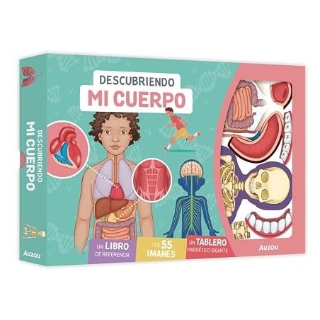 Descubriendo mi cuerpo. Tablero magnétic