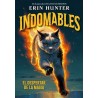 Indomables 1. El despertar de la magia