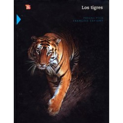 Los tigres
