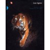 Los tigres
