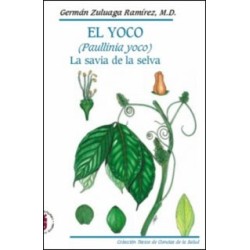 El Yoco (Paullinia yoco). La savia de la selva